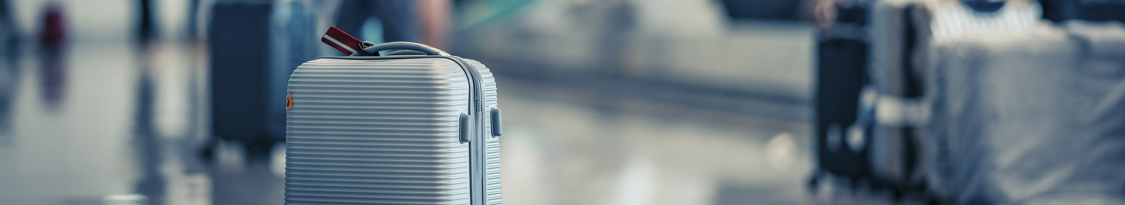 predana-prtljaga-3840x700