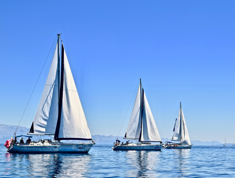 Split_sailboats_750x568