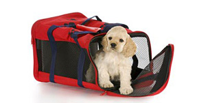 zivotinje-box-kabina